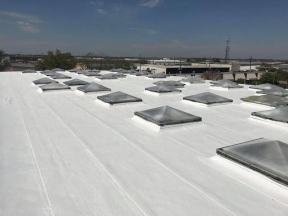 expert-flat-roof-coating-ID